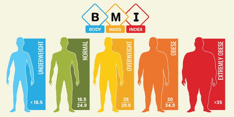  BMI Calculator