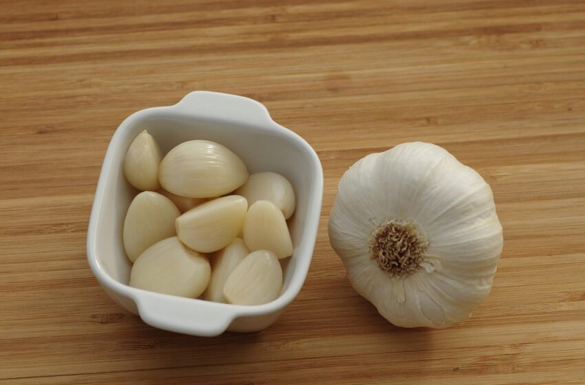  What is Garlic?